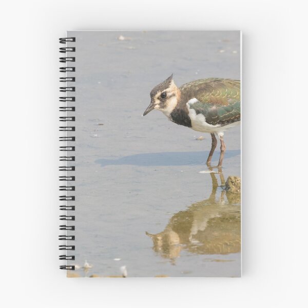 Item preview, Lapwing designed and sold by LaurenTucker.