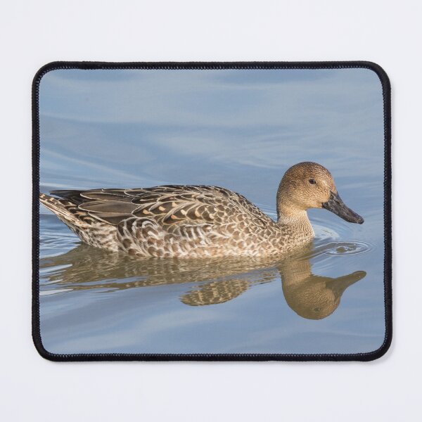 Item preview, Pintail designed and sold by LaurenTucker.