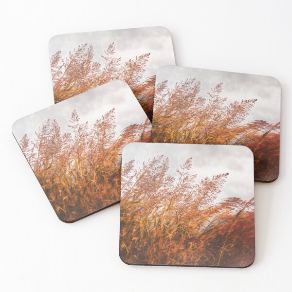 Item preview, Blustery Day  designed and sold by Jim Love.