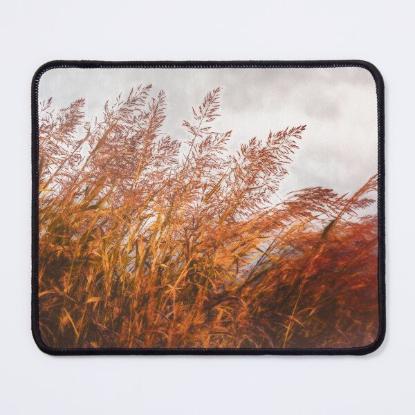 Item preview, Blustery Day  designed and sold by Jim Love.