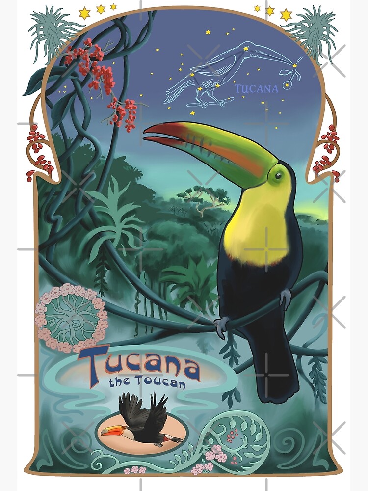 constellation tucana