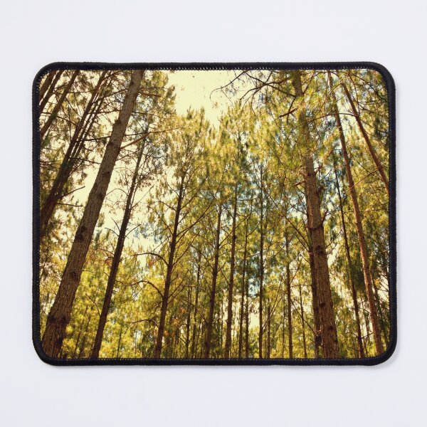 Item preview, Mozambican beach forest in Florianópolis designed and sold by Click Action.
