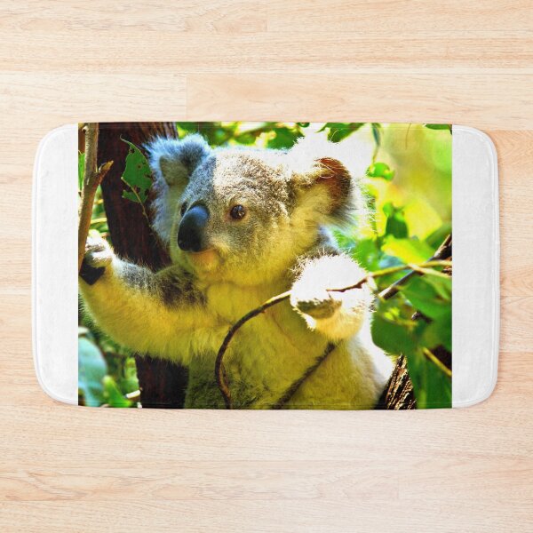 Item preview, koala photo with high resolution quality designed and sold by Allyouneed-2.