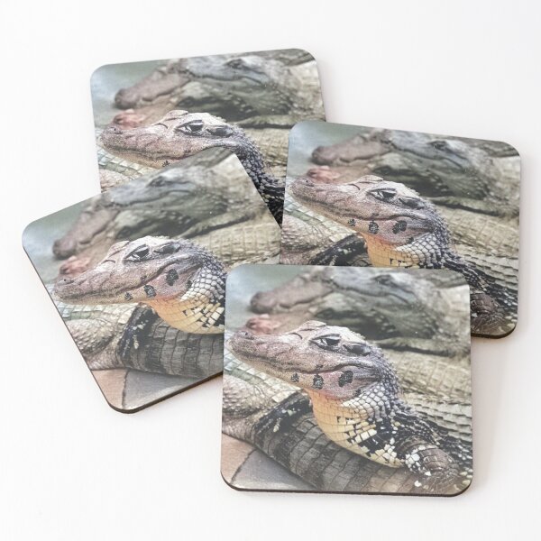 Item preview, Caiman Proud Amazonian Baby Crocodile designed and sold by JerryFrank.