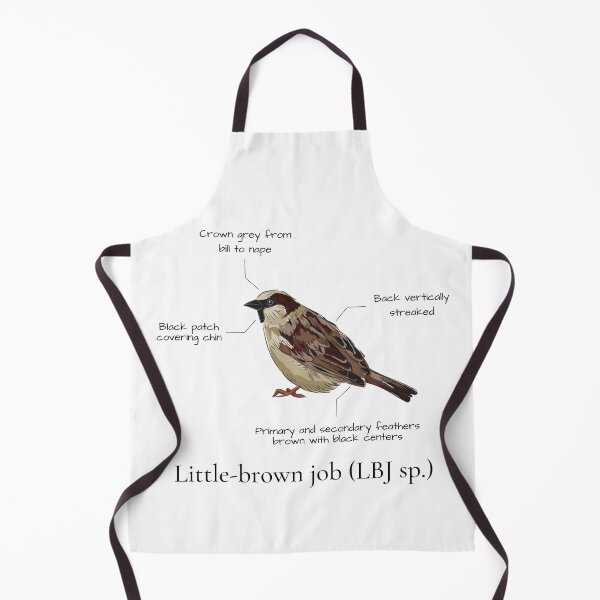 Item preview, Little brown bird, birdwatching, bird nerd, sparrow designed and sold by AntlerAndOak.