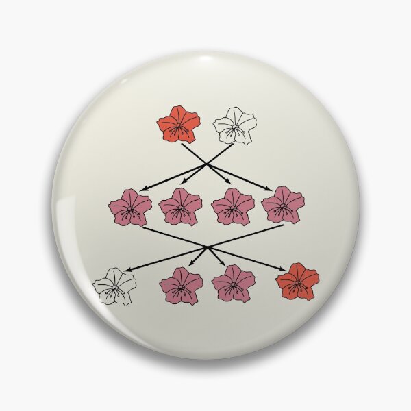 Item preview, Mendel Flower Genetics Experiment Diagram designed and sold by TYPhoenicians.