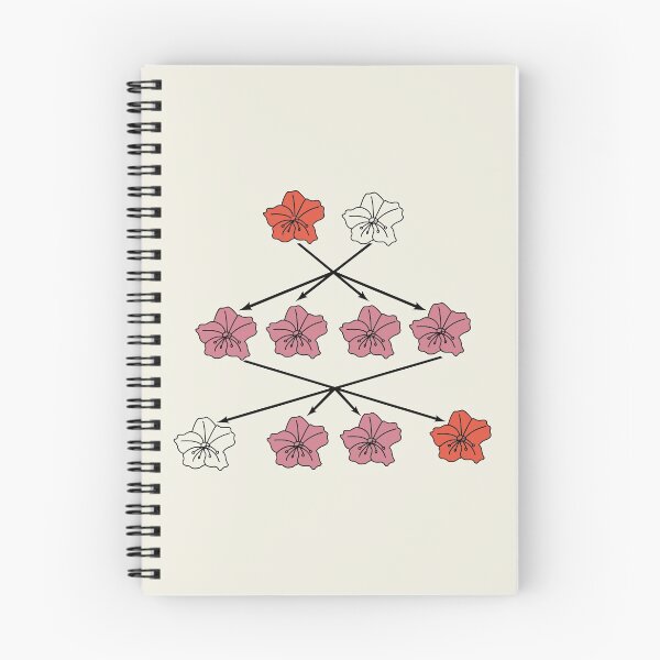 Item preview, Mendel Flower Genetics Experiment Diagram designed and sold by TYPhoenicians.