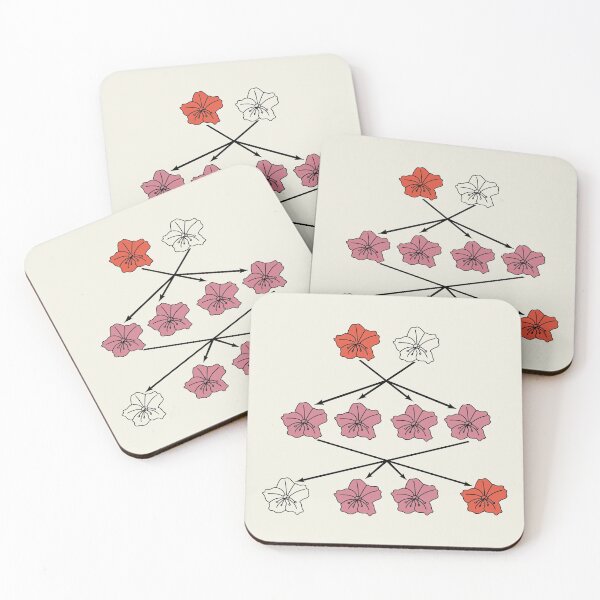 Item preview, Mendel Flower Genetics Experiment Diagram designed and sold by TYPhoenicians.