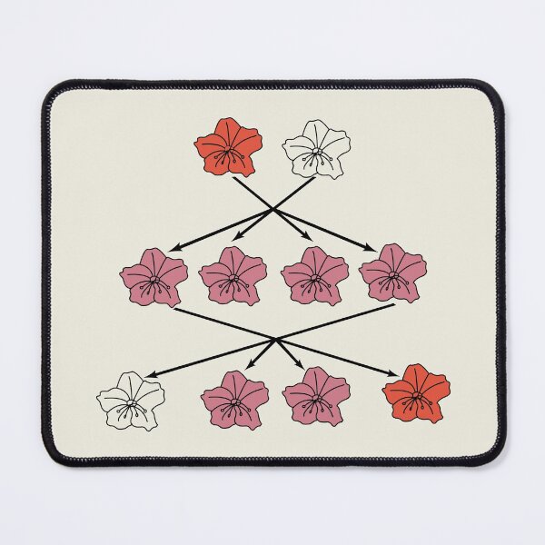 Item preview, Mendel Flower Genetics Experiment Diagram designed and sold by TYPhoenicians.