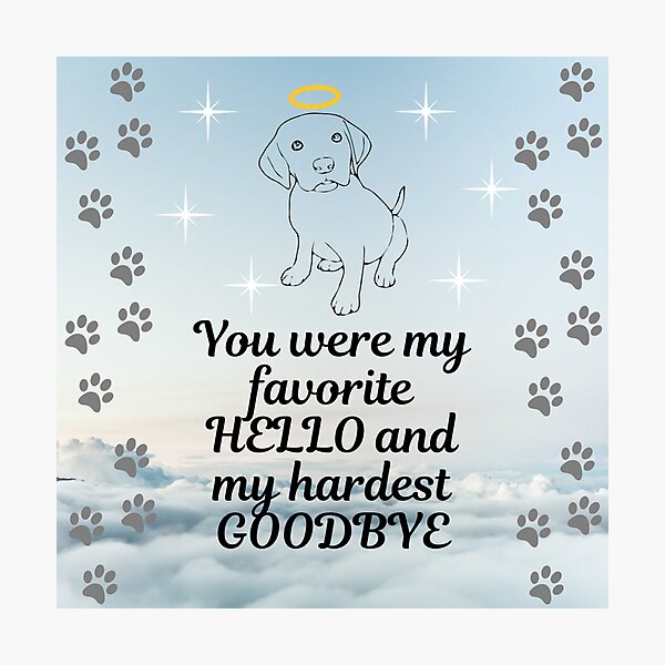 Pet grief heavenly clouds Hello Goodbye Remembrance Dog Photographic Print