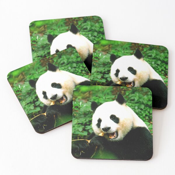 Item preview, panda photo with high resolution quality designed and sold by Allyouneed-2.