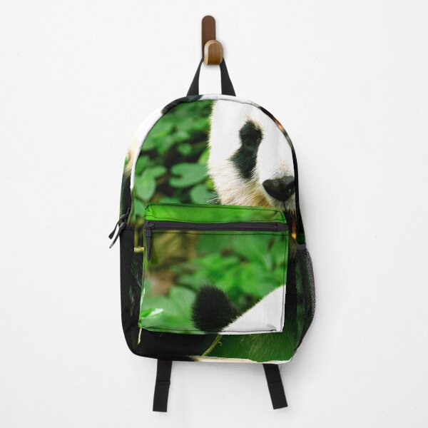 Item preview, panda photo with high resolution quality designed and sold by Allyouneed-2.