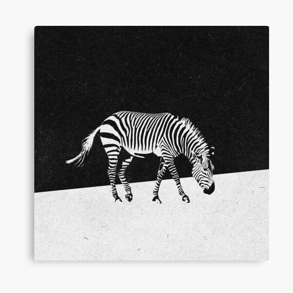 Zebra Canvas Print