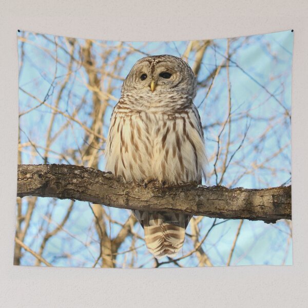 Item preview, Beautiful Barred designed and sold by locustgirl.