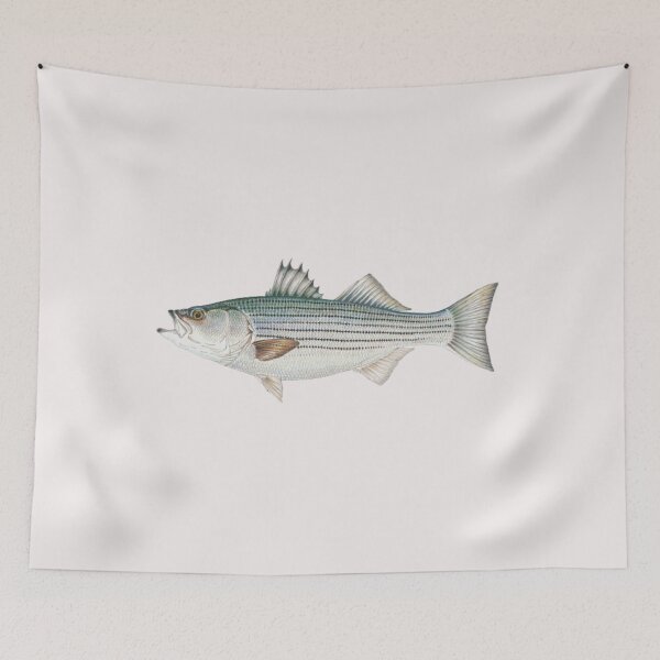 Item preview, Striped Bass designed and sold by ConstantinoTees.