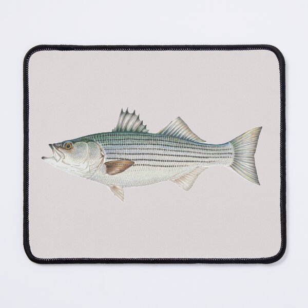 Item preview, Striped Bass designed and sold by ConstantinoTees.