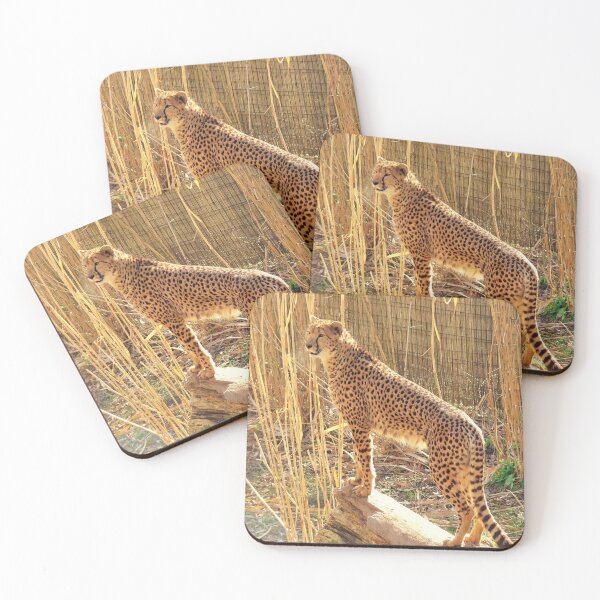 Item preview, Cheetah Photograph designed and sold by Haloproductions.