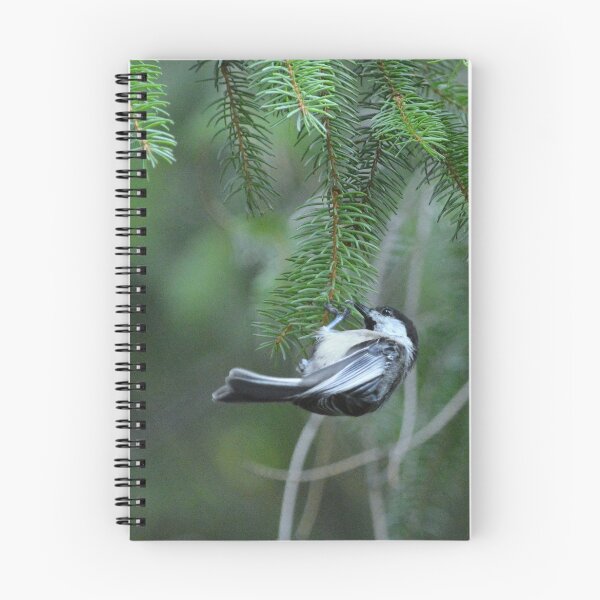 Item preview, Chickadee & pine branches designed and sold by Laurie Minor.