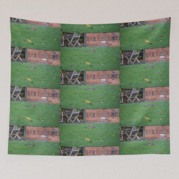 Item preview, Jay On The Lawn designed and sold by Malcolm Snook.