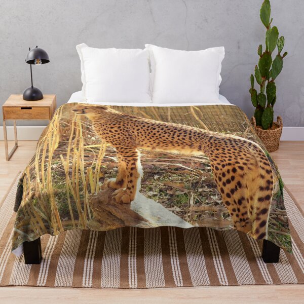 Item preview, Cheetah Photograph designed and sold by Haloproductions.