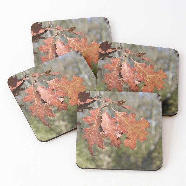 Item preview, Northern Red Oak designed and sold by Kathleen Brant.