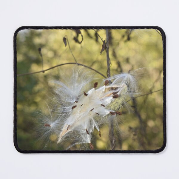 Item preview, Milkweed Bursting designed and sold by Kathleen Brant.