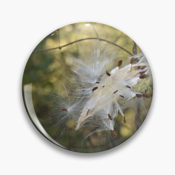 Item preview, Milkweed Bursting designed and sold by Kathleen Brant.