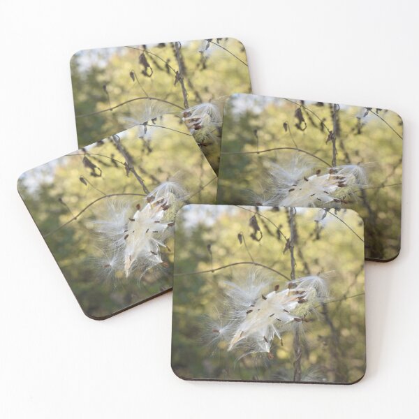 Item preview, Milkweed Bursting designed and sold by Kathleen Brant.