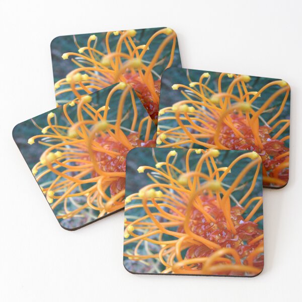 Item preview, Brilliance designed and sold by Kathie Nichols.