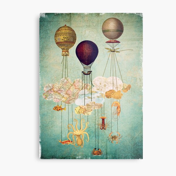 High in the Sky Metal Print