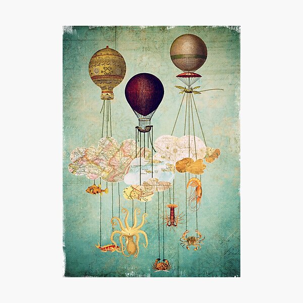 High in the Sky Photographic Print