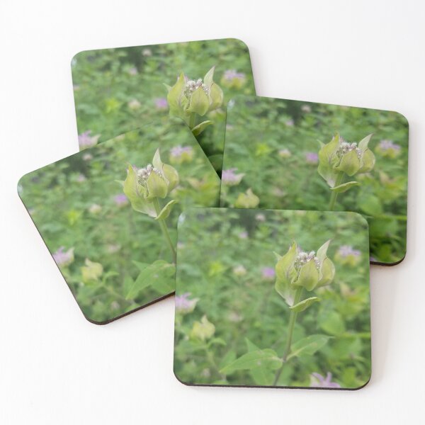Item preview, Flower Bud designed and sold by orangelikejazz.