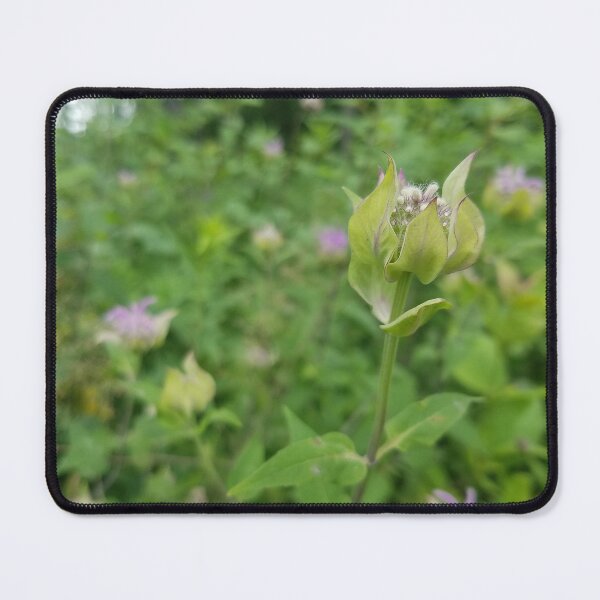 Item preview, Flower Bud designed and sold by orangelikejazz.