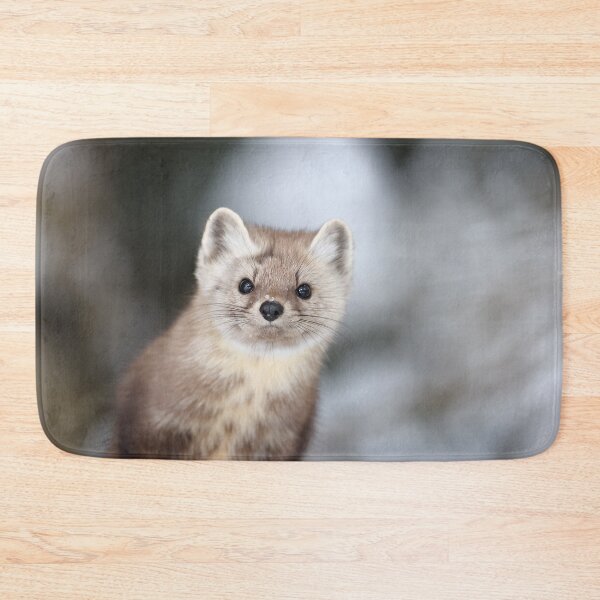 Item preview, American Marten designed and sold by mlorenz.
