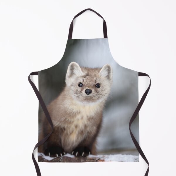 Item preview, American Marten designed and sold by mlorenz.