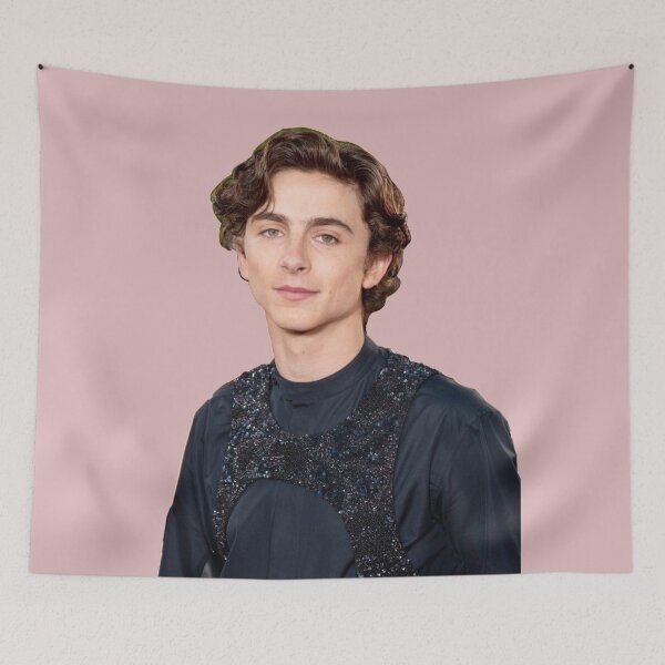 Item preview, Timothee Chalamet designed and sold by Aileenl07.