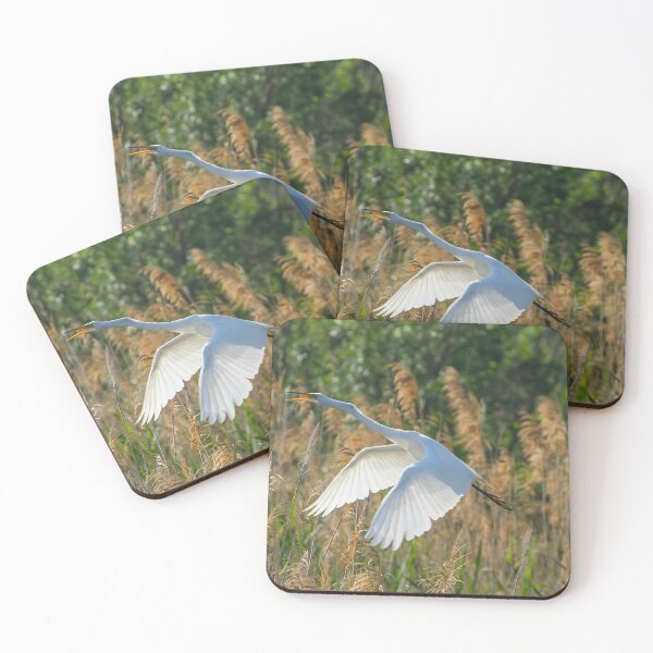 Item preview, Egret Taking Off designed and sold by PaulKPhoto.