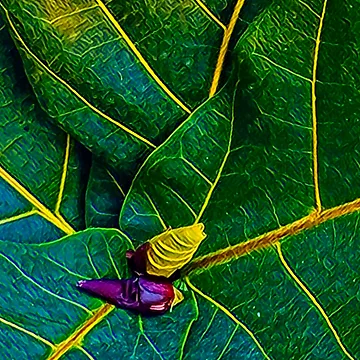 Imagen de la obra Venas de amarillo de RandaRubyRed