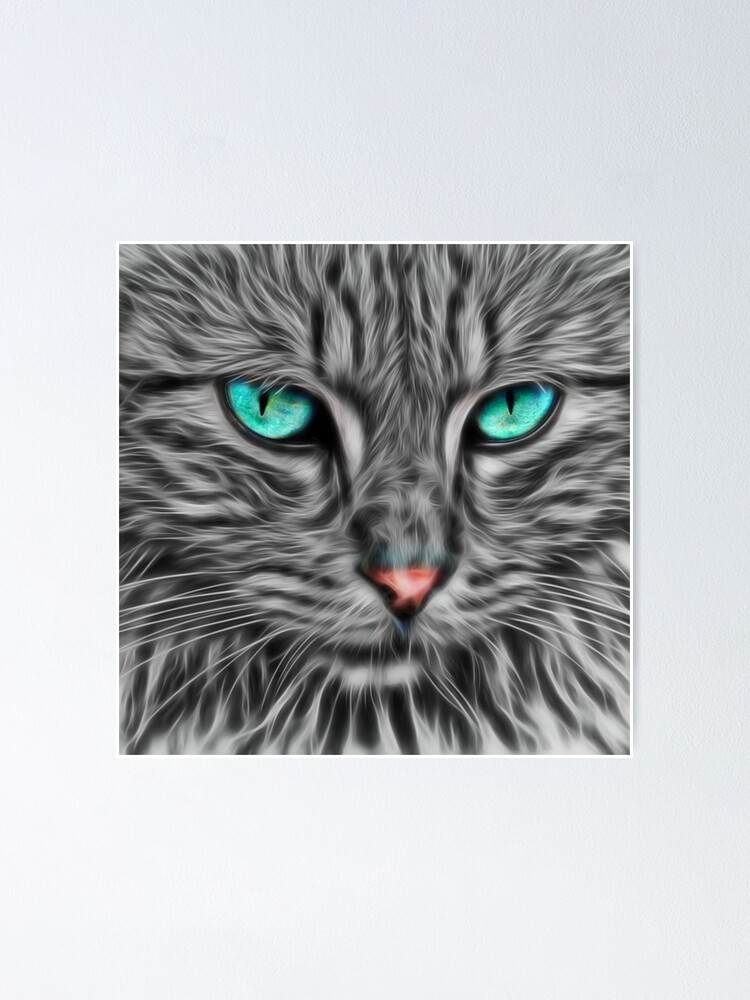 Poster Dessin De Chat Aux Yeux Bleus De Fourrure Grise Par Rebuff Redbubble