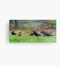 Wild Turkeys Feeding Along The Forest Metal Print