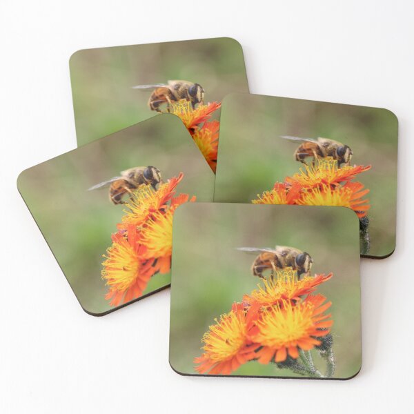 Item preview, Honey Bee designed and sold by PhyllisG-Art.