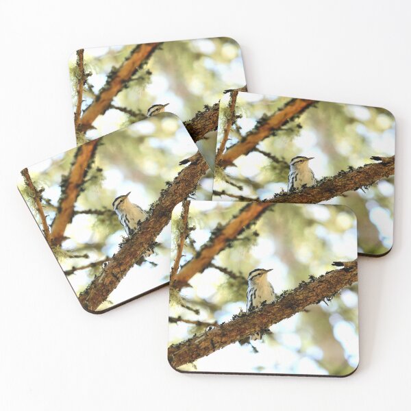 Item preview, Black and White warbler designed and sold by PhyllisG-Art.