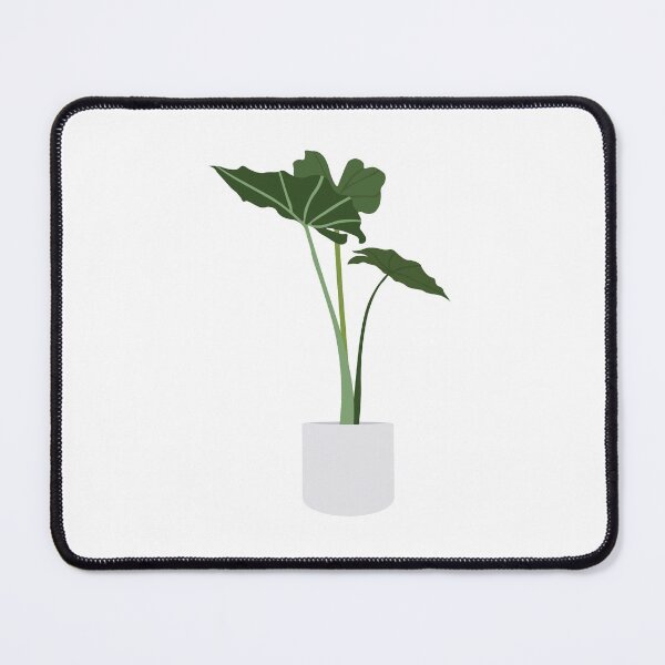 Item preview, Pretty Green Alocasia House Plant in White Pot designed and sold by elmma design.