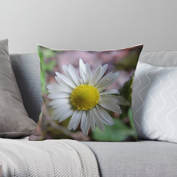 Close-up Daisy Throw Pillow