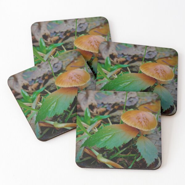 Item preview, Little Orange Mushroom designed and sold by Rebekah Slick.