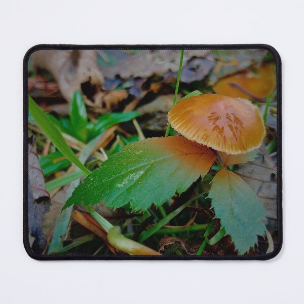 Item preview, Little Orange Mushroom designed and sold by Rebekah Slick.
