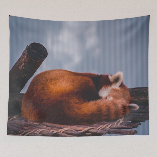 Item preview, Red Panda resting on an Autumn Day designed and sold by Michael Deemer.