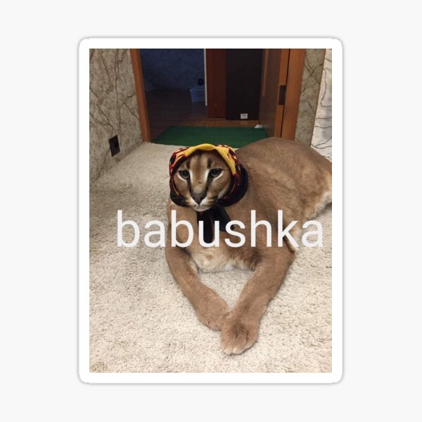 Item preview, Floppa babushka designed and sold by iamamessplzhelp.