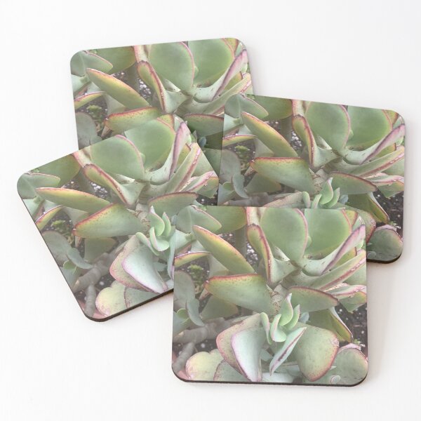 Item preview, Jade plant designed and sold by Redmist65.