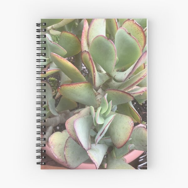 Item preview, Jade plant designed and sold by Redmist65.